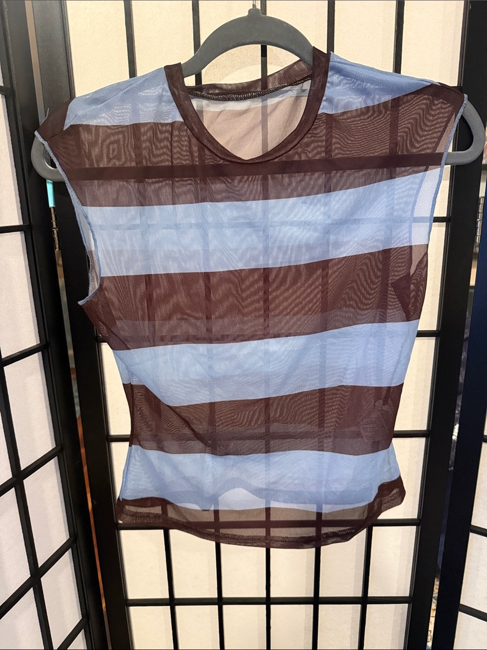 Striped Sheer Sleeveless Tank Top in Light Blue and Brown